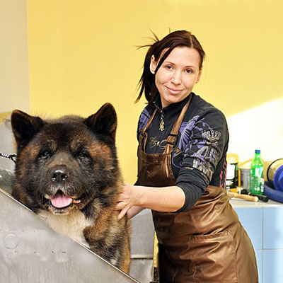 groomer1 groomer1